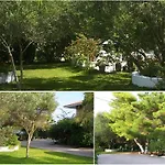 Apartment Polymnia Spartia (Kefalonia)