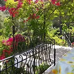 Polymnia * Spartia (Kefalonia)
