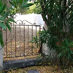 Polymnia * ספרטיה