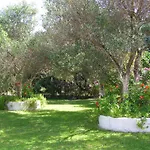 Polymnia ספרטיה