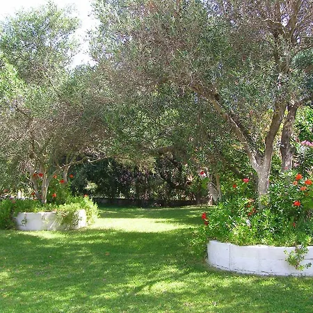 Polymnia ספרטיה