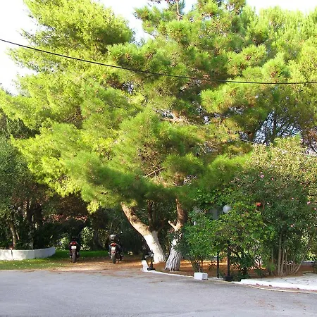 Polymnia ספרטיה