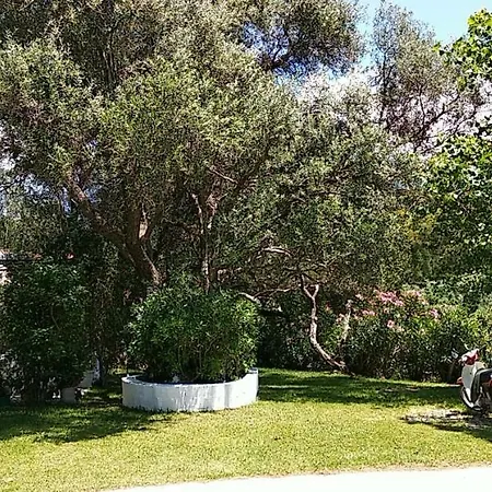 Polymnia דירה *
