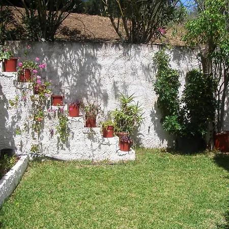 Polymnia Spartia (Kefalonia)